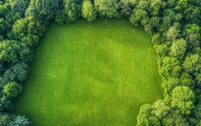 Définir une bonne surface de terrain pour sa maison : adaptation aux réglementations et à l’environnement local